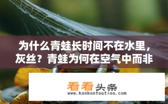 为什么青蛙长时间不在水里，灰丝？青蛙为何在空气中而非水中度过大量时间？