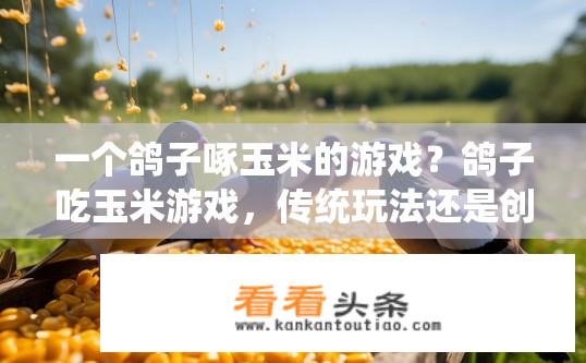 一个鸽子啄玉米的游戏？鸽子吃玉米游戏，传统玩法还是创新升级？