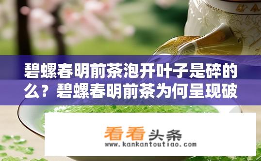碧螺春明前茶泡开叶子是碎的么？碧螺春明前茶为何呈现破碎状态?