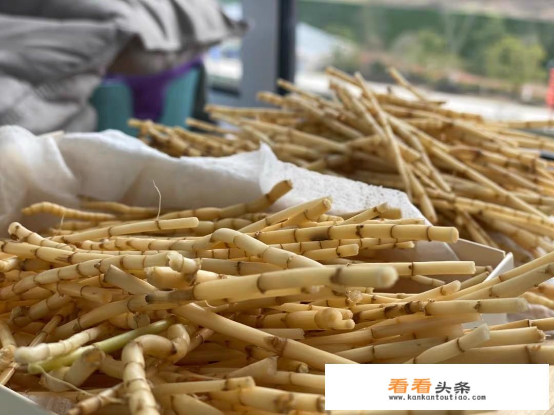 孕妇失眠吃什么食物好？我经常晚上睡不着，白天累的发困？