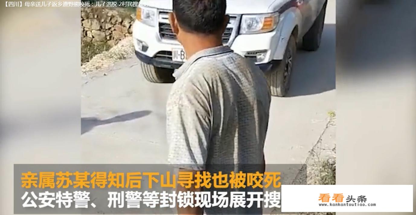 惨！母亲送儿读书遇熊咬死，搜救2人死亡，遇熊该如何自救？