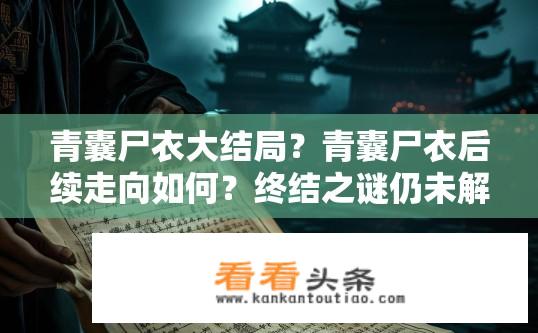 青囊尸衣大结局？青囊尸衣后续走向如何？终结之谜仍未解开？