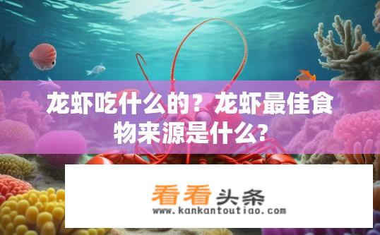 龙虾吃什么的？龙虾最佳食物来源是什么?