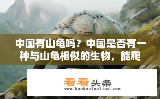中国有山龟吗？中国是否有一种与山龟相似的生物，能爬山并具有类似壳结构?