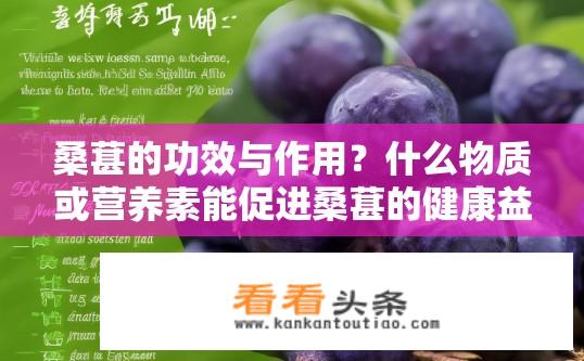 桑葚的功效与作用？什么物质或营养素能促进桑葚的健康益处，如何食用以获取最佳效果呢？