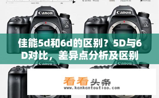 佳能5d和6d的区别？5D与6D对比，差异点分析及区别