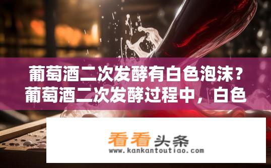 葡萄酒二次发酵有白色泡沫？葡萄酒二次发酵过程中，白色泡沫的原因是什么?
