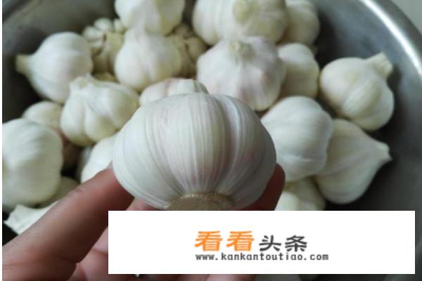 腌大蒜头的方法？
