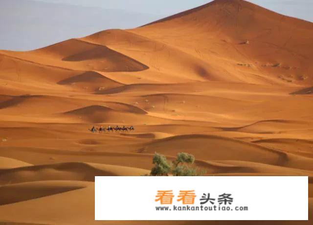世界七大自然界奇观是什么？