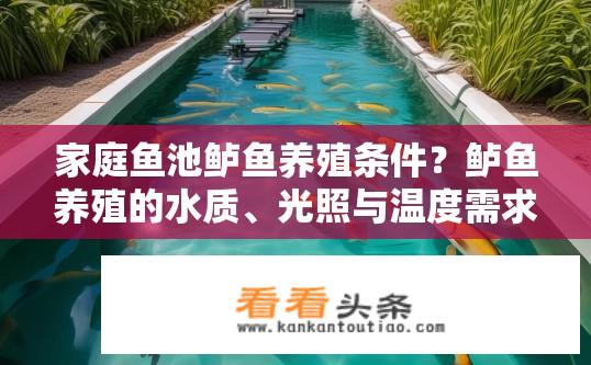家庭鱼池鲈鱼养殖条件？鲈鱼养殖的水质、光照与温度需求如何满足？