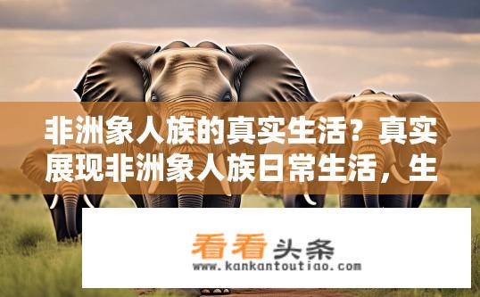 非洲象人族的真实生活？真实展现非洲象人族日常生活，生态、文化与生存挑战的观察