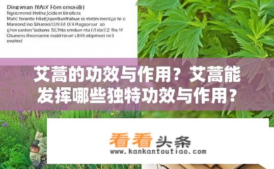 艾蒿的功效与作用？艾蒿能发挥哪些独特功效与作用？