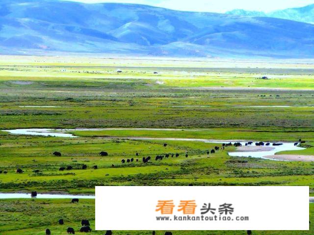 攀枝花到昆明自驾游沿途景点？
