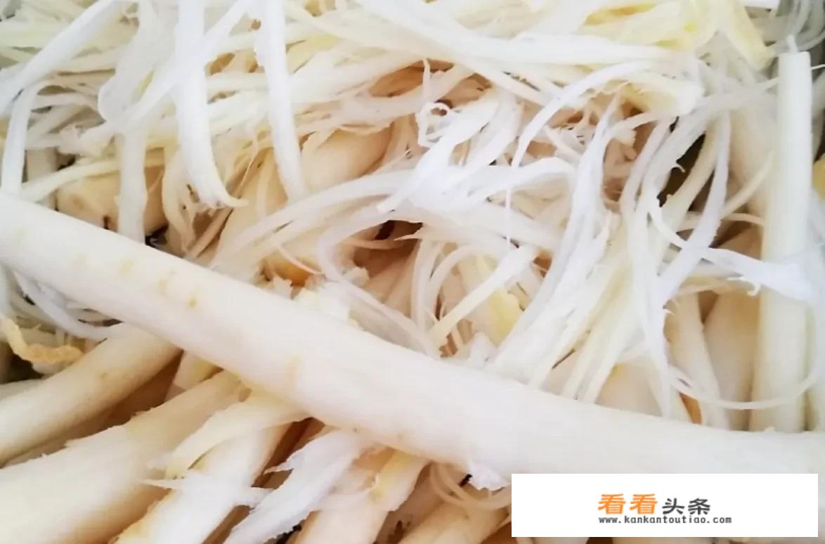狗宝咸菜学名叫什么？