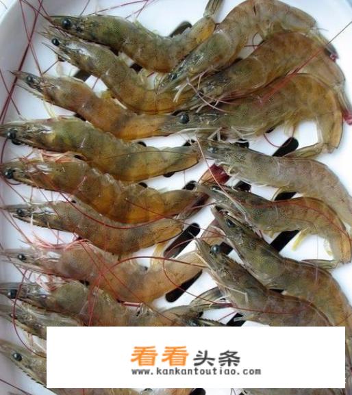 虾的10种最佳吃法虾蒸多长时间？
