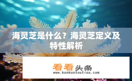 海灵芝是什么？海灵芝定义及特性解析