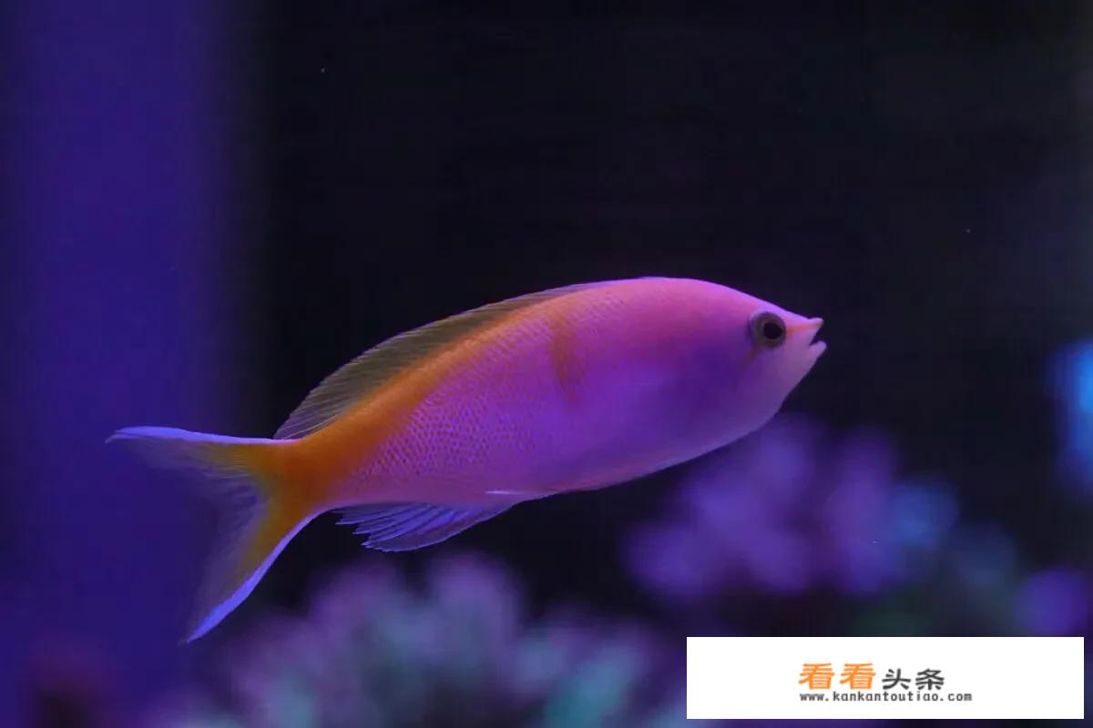 钓鱼穷三年摄影毁一生顺口溜？