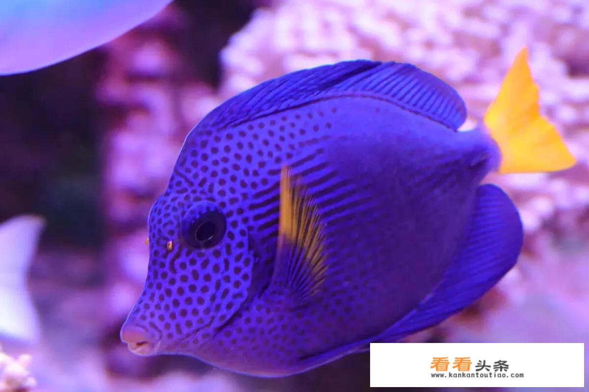 钓鱼穷三年摄影毁一生顺口溜？