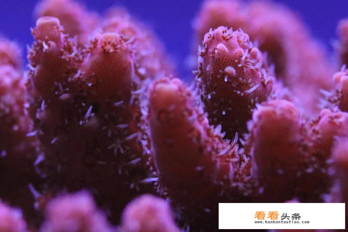 钓鱼穷三年摄影毁一生顺口溜？