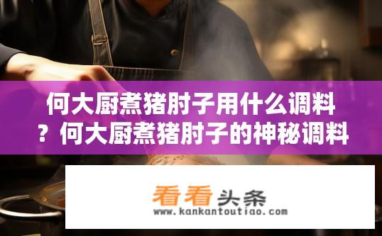 何大厨煮猪肘子用什么调料？何大厨煮猪肘子的神秘调料是什么？