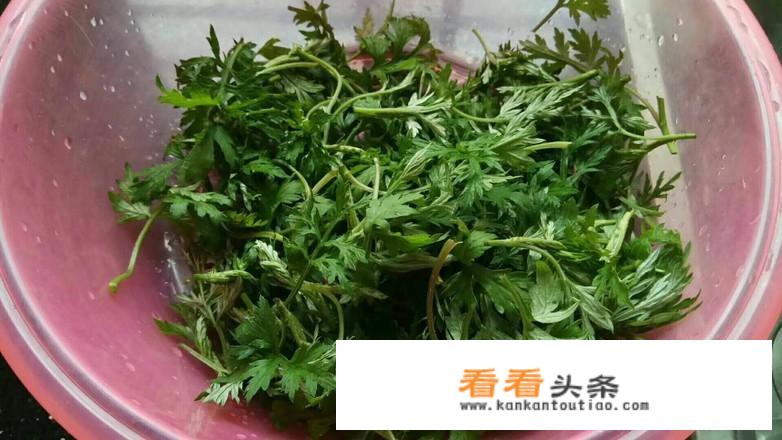 大家觉得客家男人有没有大男子主义？