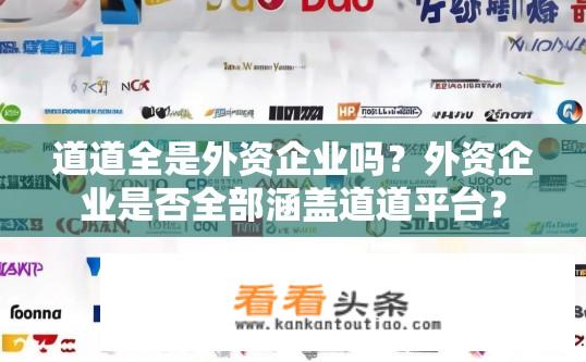 道道全是外资企业吗？外资企业是否全部涵盖道道平台？
