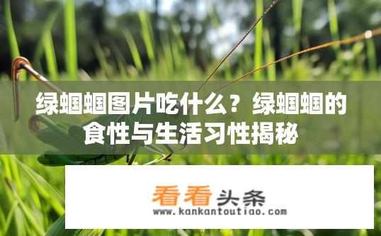 绿蝈蝈图片吃什么？绿蝈蝈的食性与生活习性揭秘