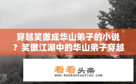 穿越笑傲成华山弟子的小说？笑傲江湖中的华山弟子穿越之旅？