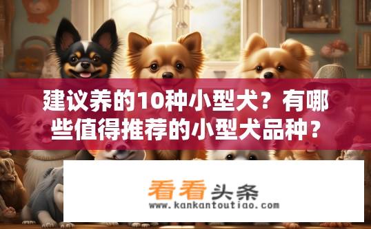 建议养的10种小型犬？有哪些值得推荐的小型犬品种？