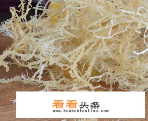 龙须菜是海里的植物吗？