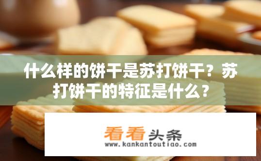什么样的饼干是苏打饼干？苏打饼干的特征是什么？