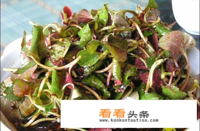 凉拌鱼腥草的做法？