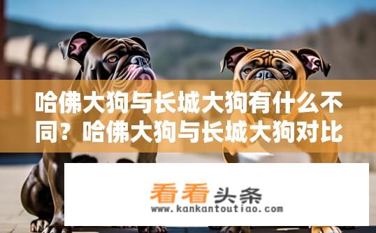 哈佛大狗与长城大狗有什么不同？哈佛大狗与长城大狗对比，有何差异？