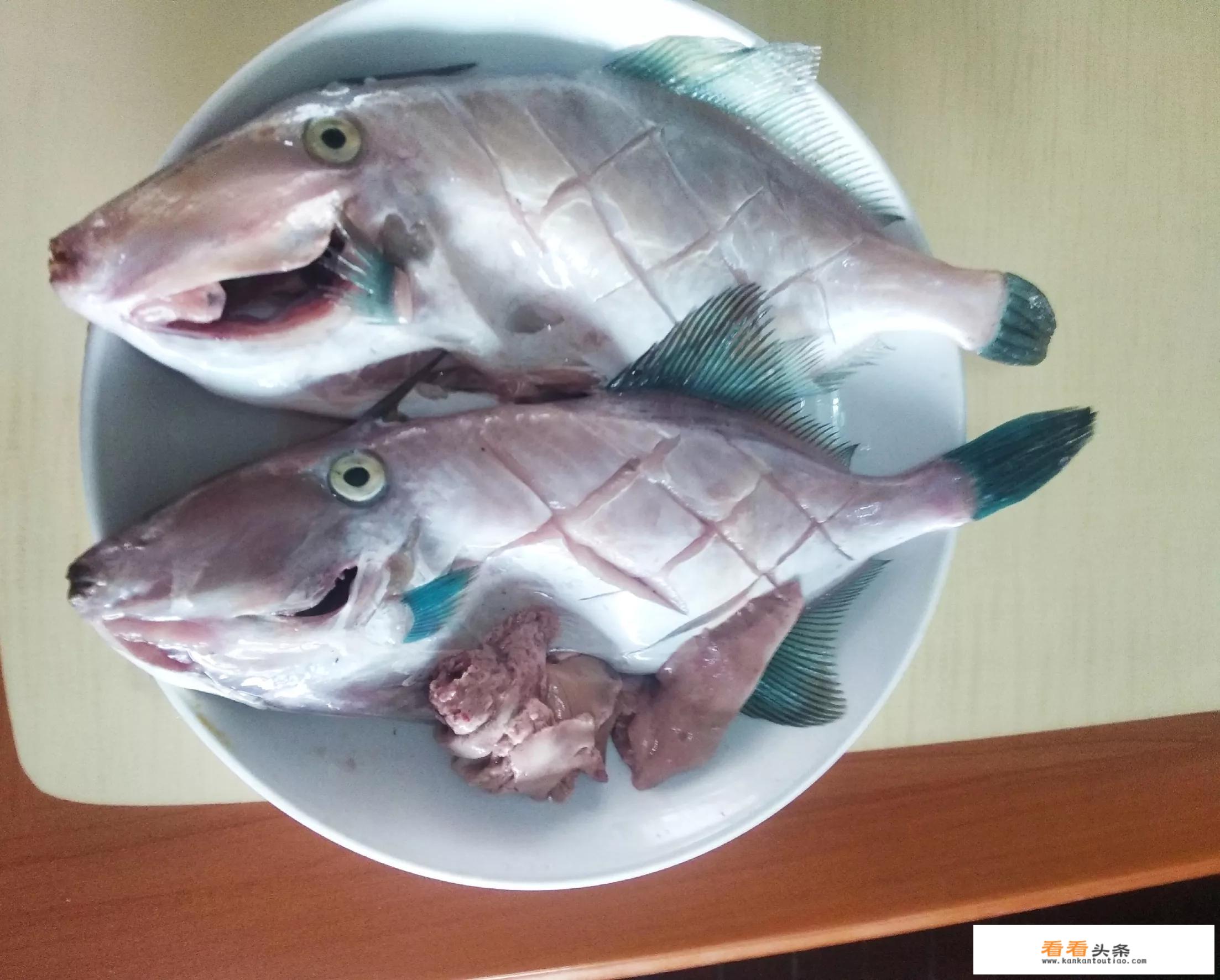 鳎目鱼和橡皮鱼区别？
