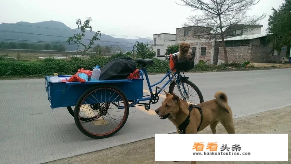 一千块可以去哪里旅行？