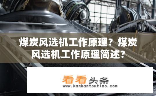 煤炭风选机工作原理？煤炭风选机工作原理简述？