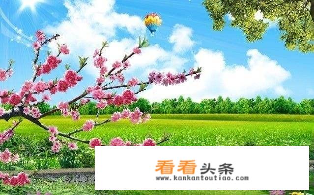你知道清明节有多感人的来历吗？