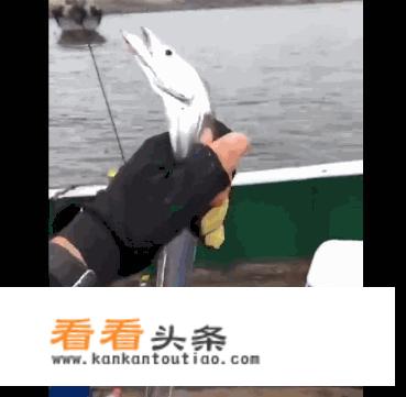 带鱼的7种家常做法？