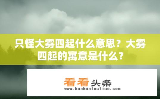 只怪大雾四起什么意思？大雾四起的寓意是什么？