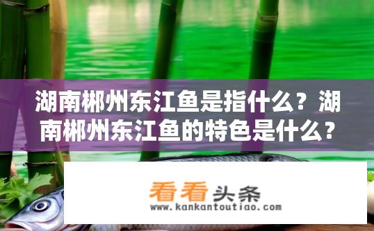湖南郴州东江鱼是指什么？湖南郴州东江鱼的特色是什么？