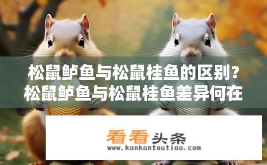 松鼠鲈鱼与松鼠桂鱼的区别？松鼠鲈鱼与松鼠桂鱼差异何在？