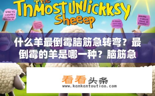 什么羊最倒霉脑筋急转弯？最倒霉的羊是哪一种？脑筋急转弯揭秘！