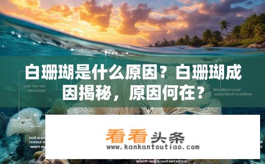 白珊瑚是什么原因？白珊瑚成因揭秘，原因何在？