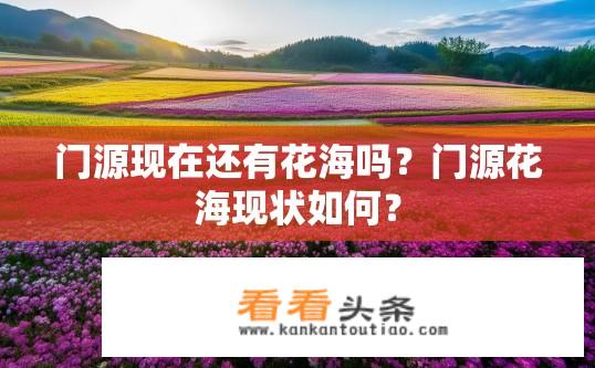 门源现在还有花海吗？门源花海现状如何？