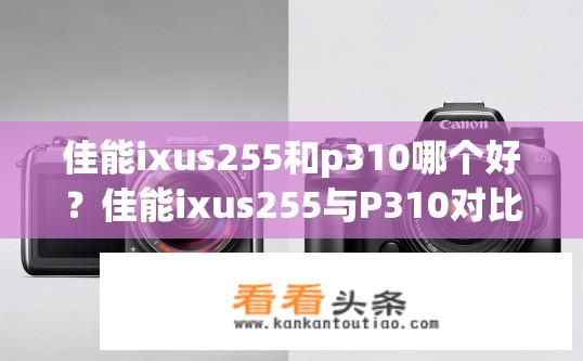 佳能ixus255和p310哪个好？佳能ixus255与P310对比，哪款更好？