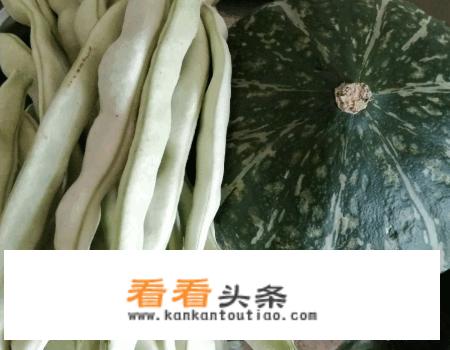东北大乱炖的家常做法？