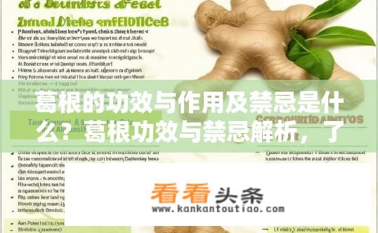 葛根的功效与作用及禁忌是什么？葛根功效与禁忌解析，了解这些避免误用！