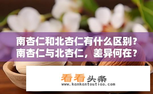 南杏仁和北杏仁有什么区别？南杏仁与北杏仁，差异何在？