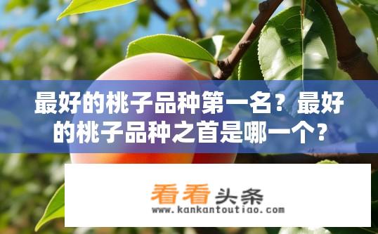 最好的桃子品种第一名？最好的桃子品种之首是哪一个？