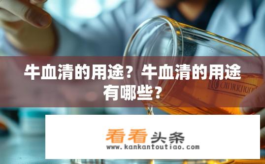 牛血清的用途？牛血清的用途有哪些？